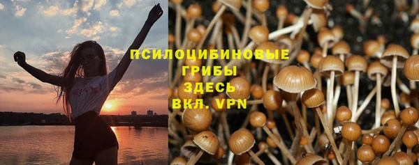марихуана Медногорск