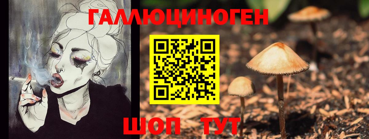 Нижнекамск  купить закладку  Вход с VPN  Псилоцибиновые грибы MAGIC MUSHROOMS  Псилоцибиновые грибы прущие грибы 